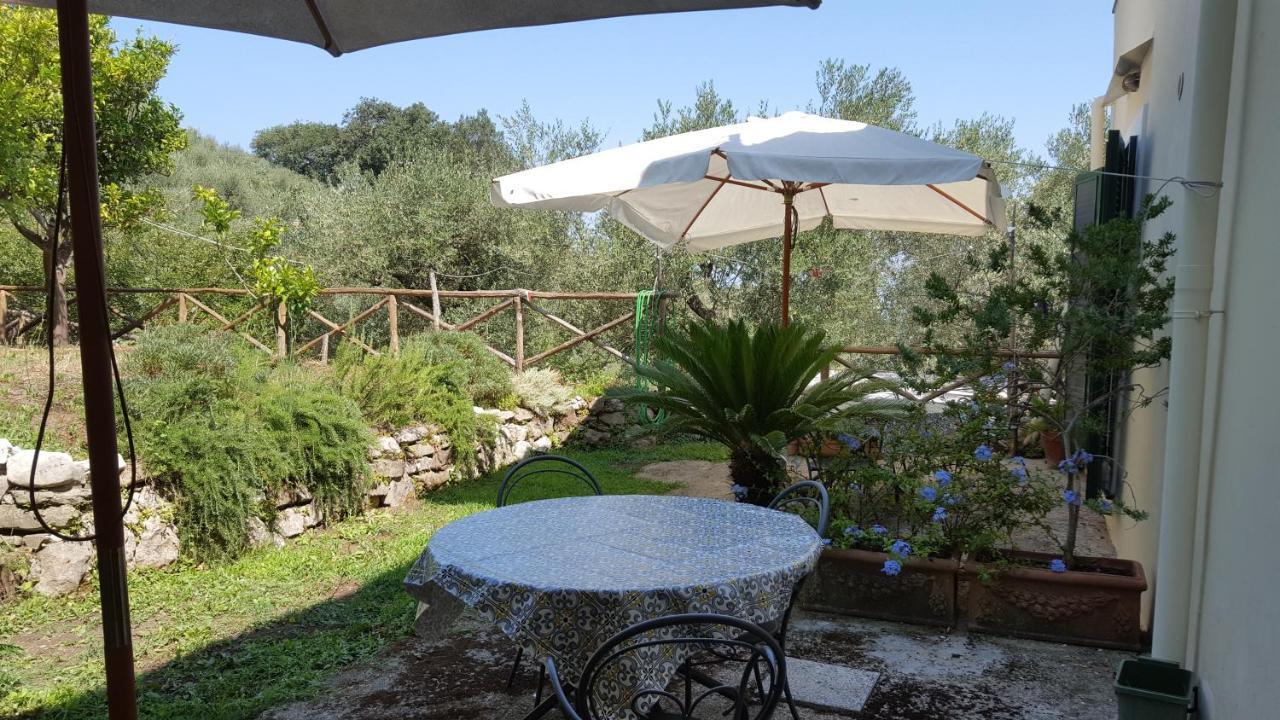 סן אנג'לו Gli Ulivi Agriturismo מראה חיצוני תמונה