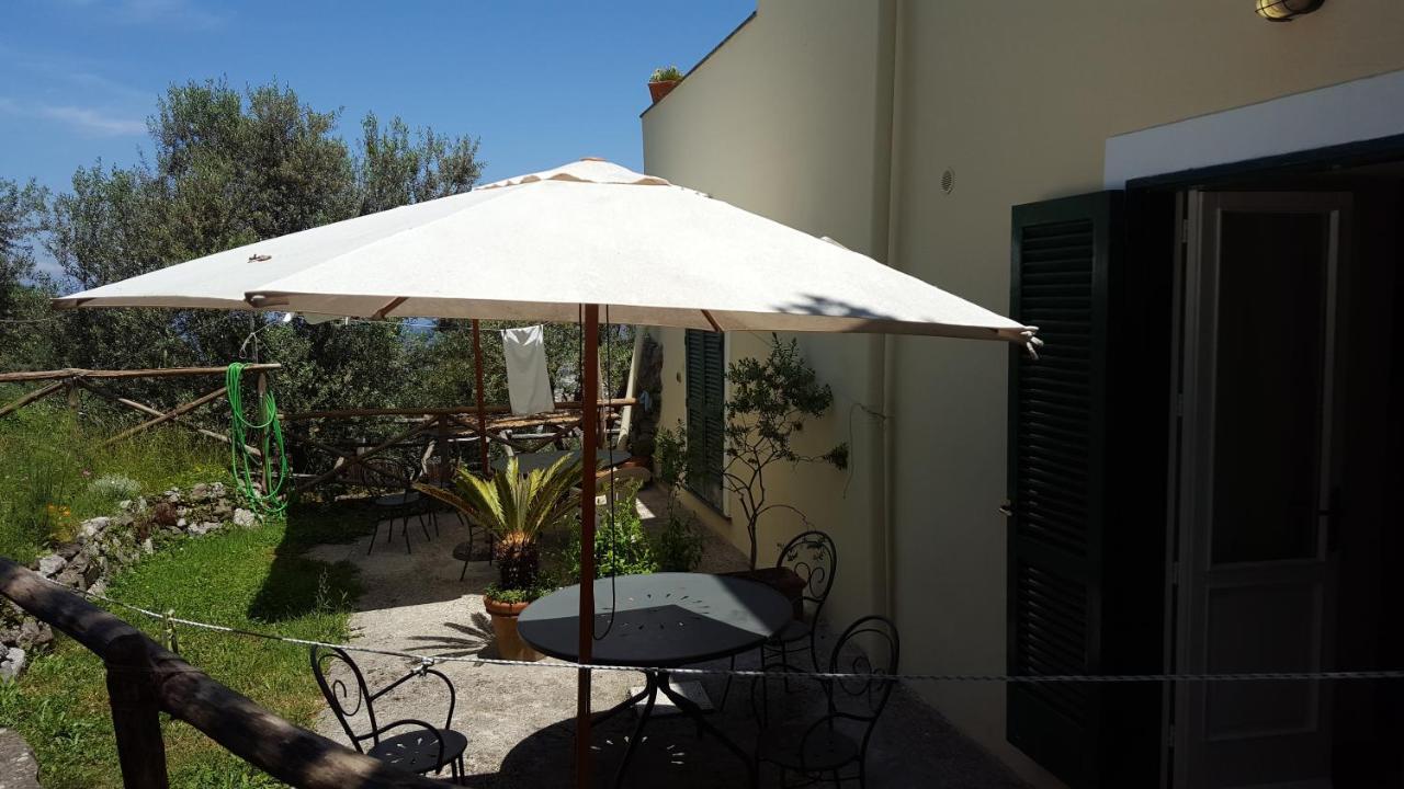 סן אנג'לו Gli Ulivi Agriturismo מראה חיצוני תמונה