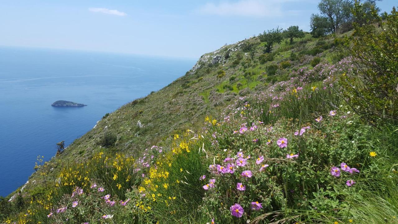 סן אנג'לו Gli Ulivi Agriturismo מראה חיצוני תמונה