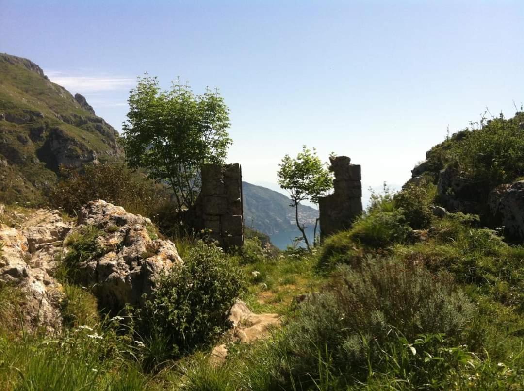סן אנג'לו Gli Ulivi Agriturismo מראה חיצוני תמונה