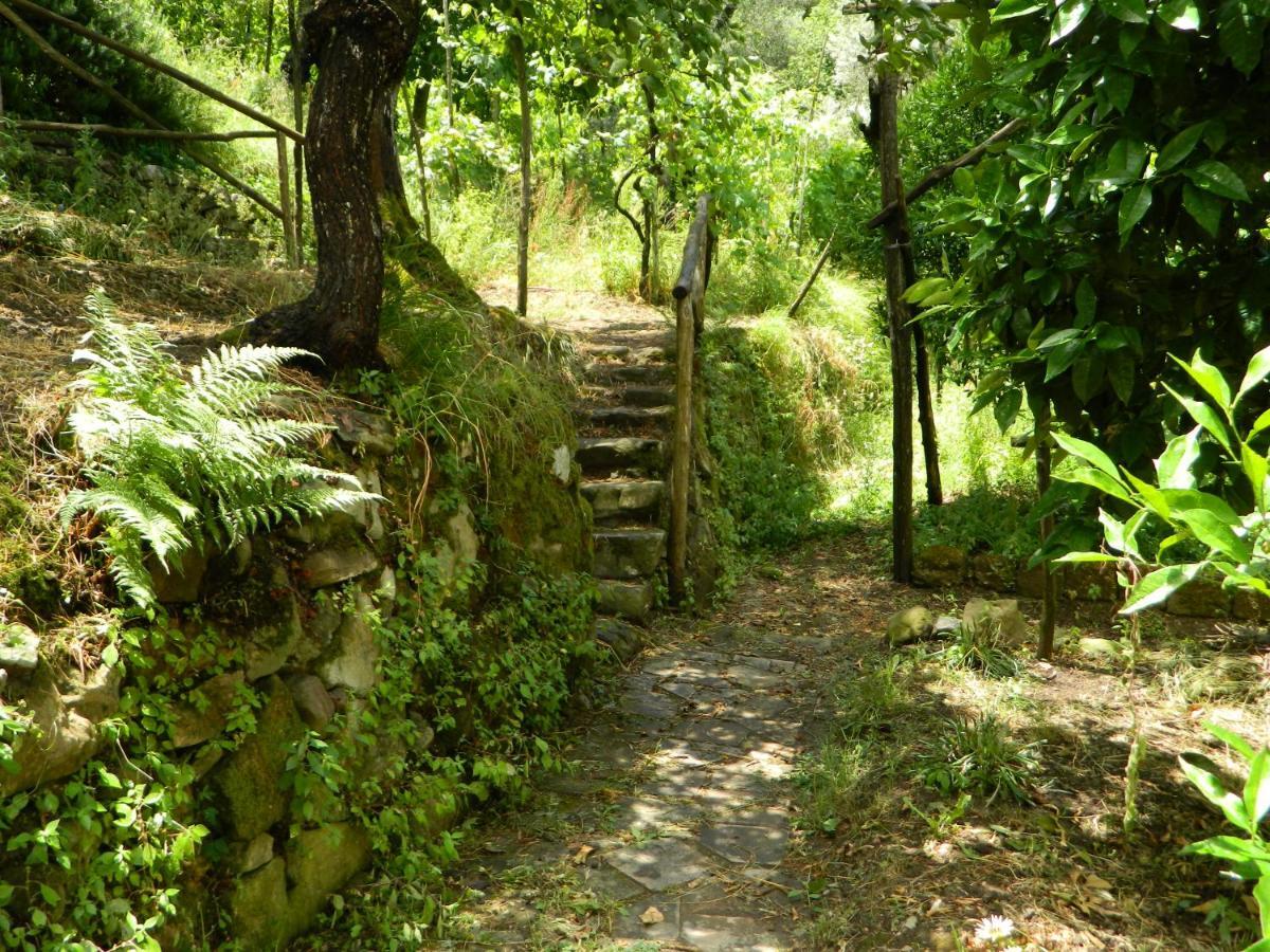 סן אנג'לו Gli Ulivi Agriturismo מראה חיצוני תמונה